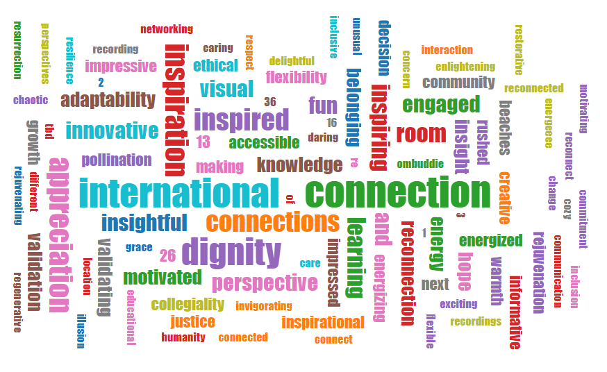Cloud of words collected to describe the 2021 IOA Conference